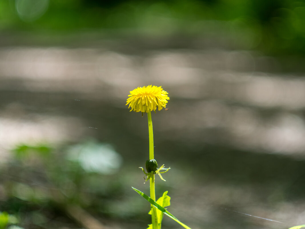 ___ - Yuriy V ___ - Yuriy V