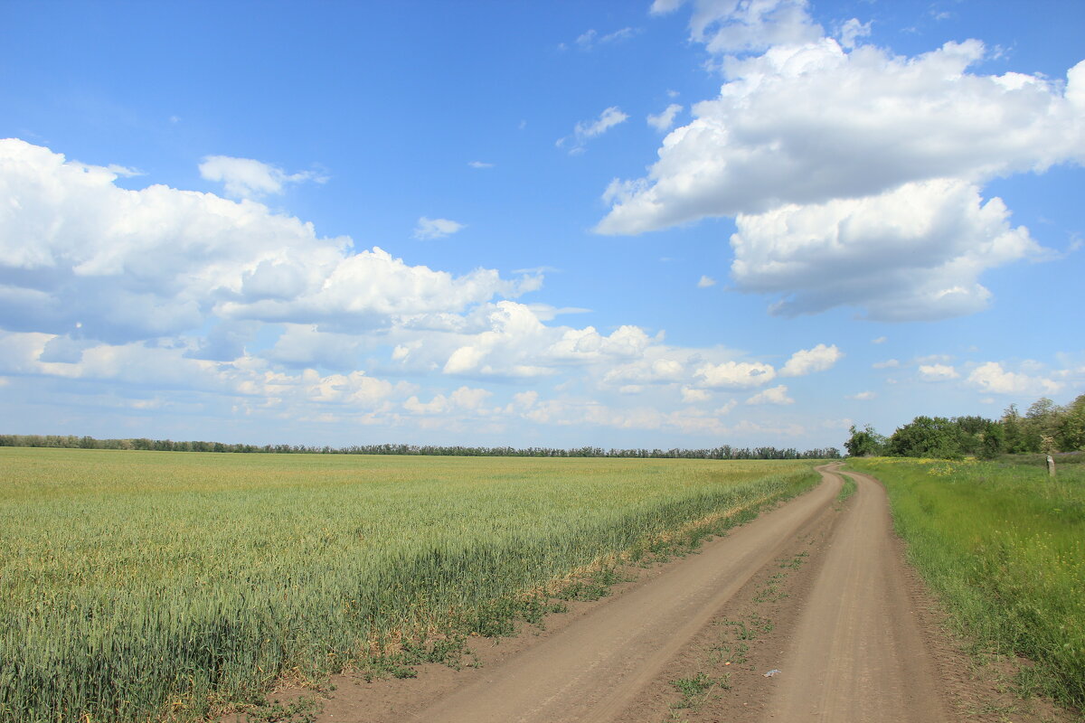 Мои дороги. - Виктор 
