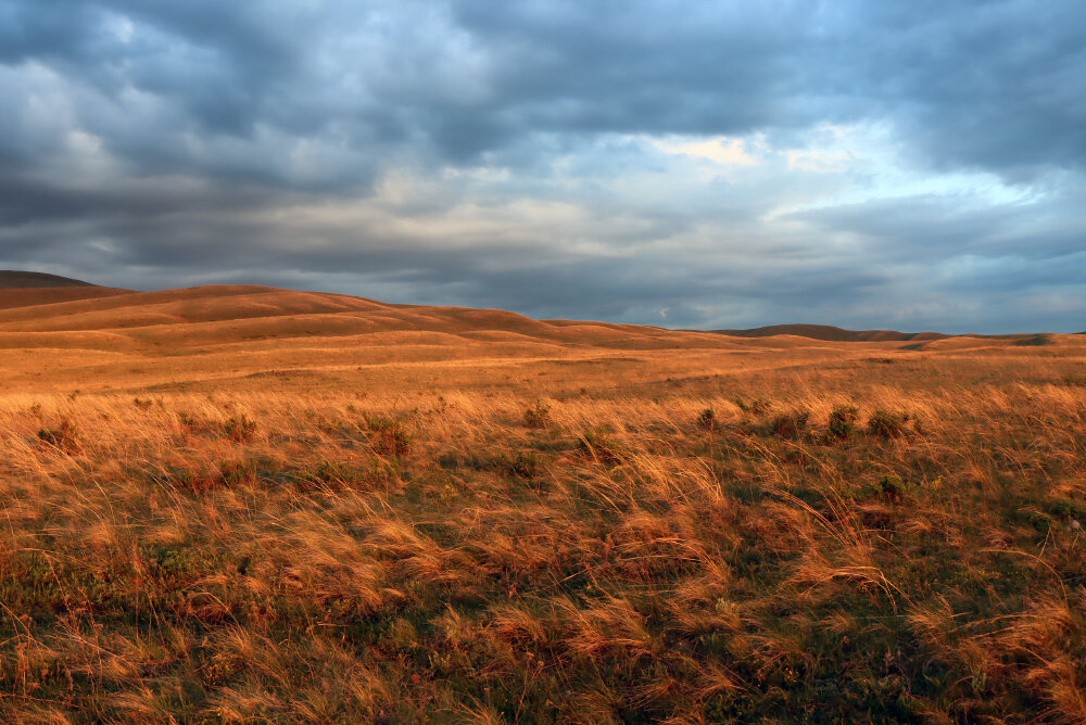 Вечерние краски - Галина Ильясова Вечерние краски - Галина Ильясова