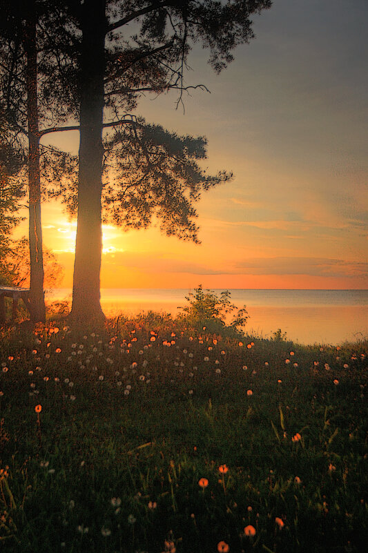 *** - Сергей Григорьев *** - Сергей Григорьев