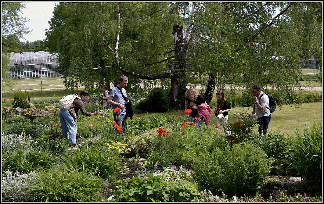 Успеть запечатлеть... - Aleksandr Gal