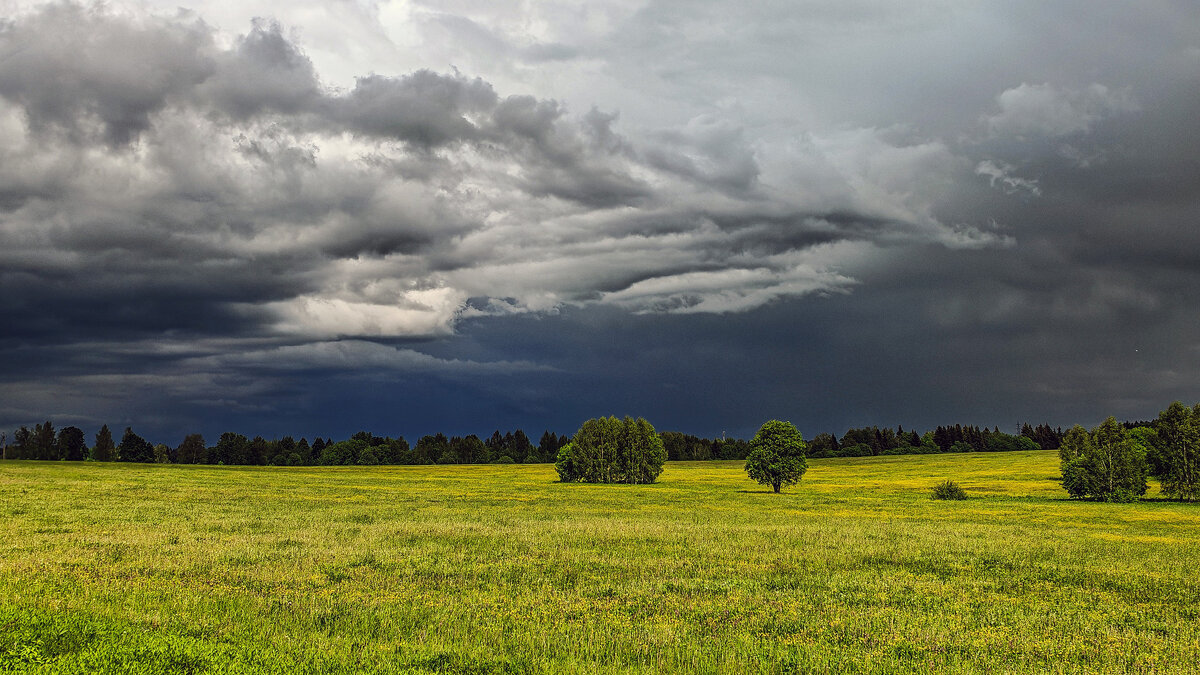 Перед грозой - Владимир Езеров 
