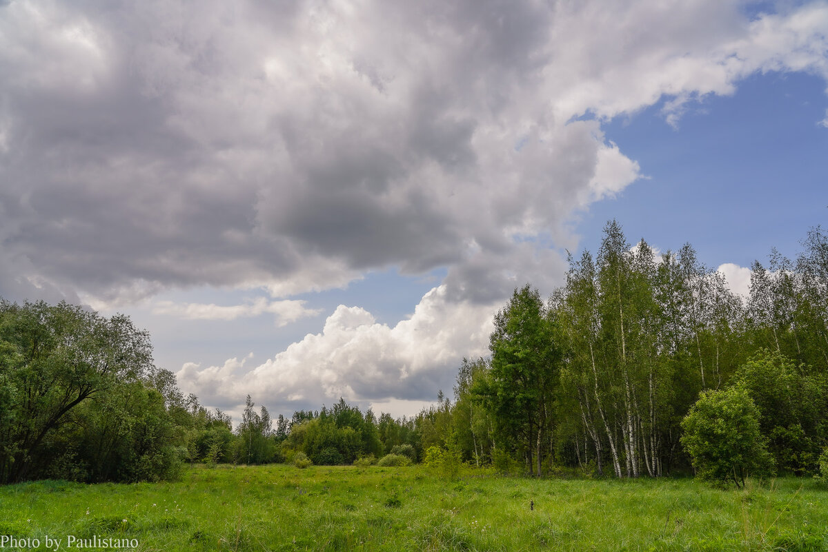 В поле... - Владимир Жданов В поле... - Владимир Жданов