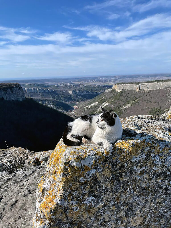 Абориген - Vyacheslav Gordeev