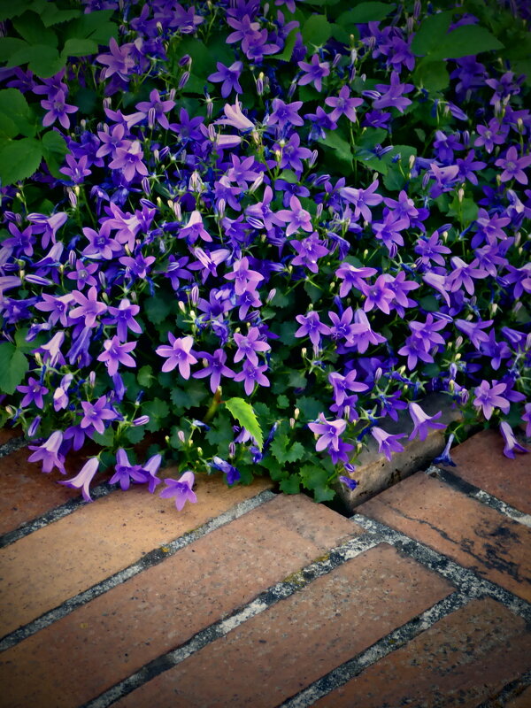 Летние этюды 6 - Алексей Кузнецов