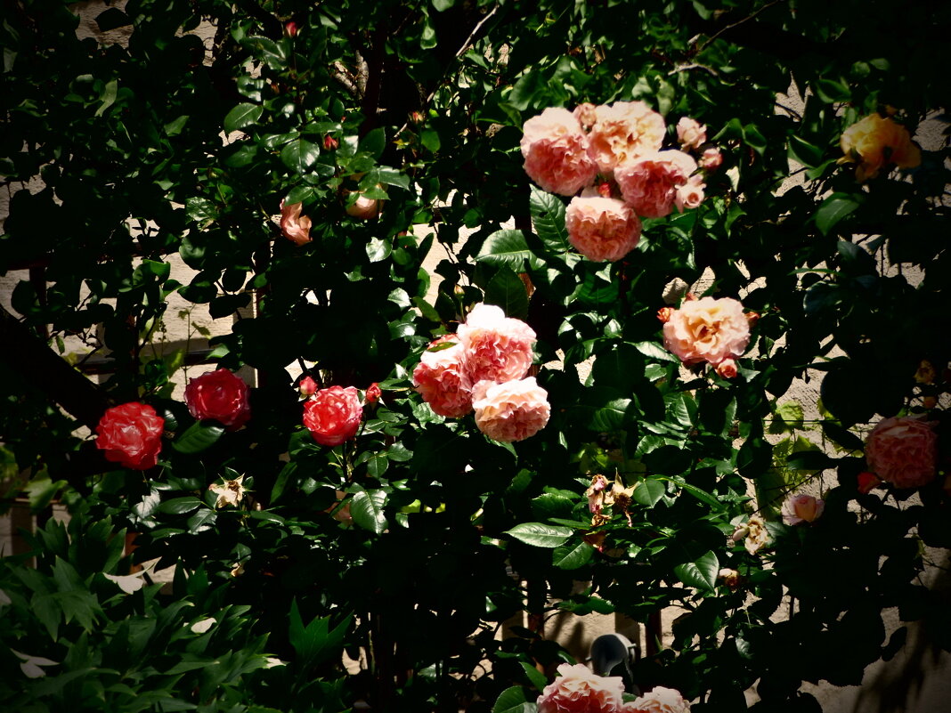 Летние этюды 9 - Алексей Кузнецов