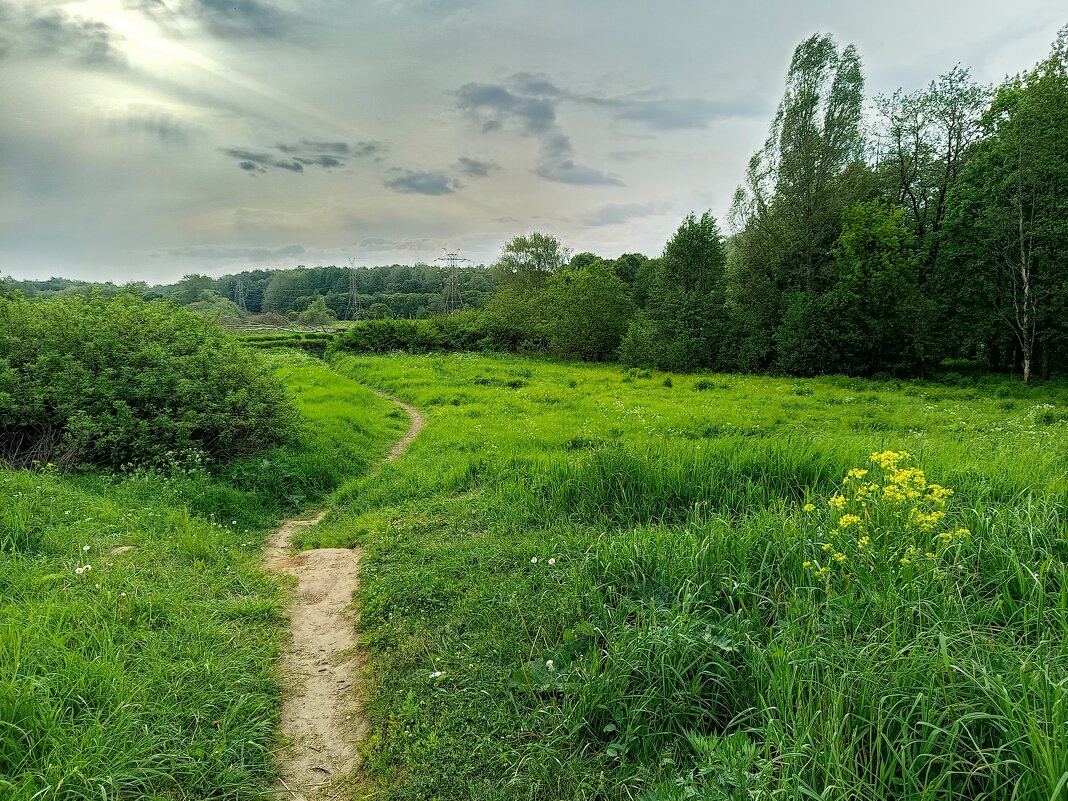 Сегодня облачно - Андрей Лукьянов Сегодня облачно - Андрей Лукьянов
