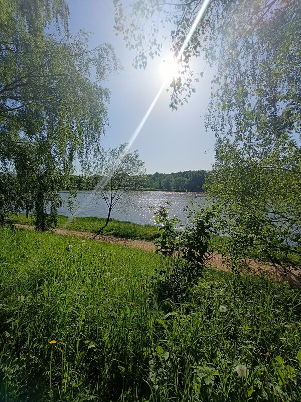 луч солнца золотого... - Галина R... луч солнца золотого... - Галина R...