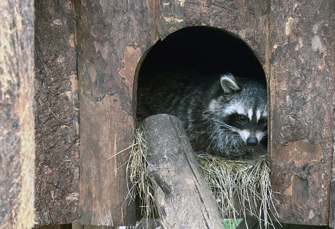 Скучный день - Дмитрий Иванов