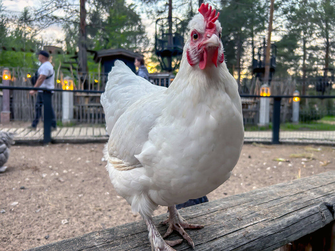Все еще сидишь в интернете - Дмитрий Иванов Все еще сидишь в интернете - Дмитрий Иванов