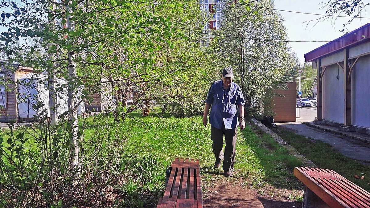 Утренняя прогулка в сквере Победы! - Владимир 