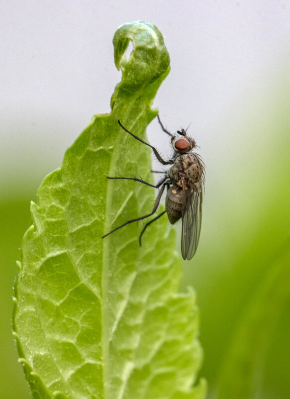 Начало дня - Валерий Басыров Начало дня - Валерий Басыров