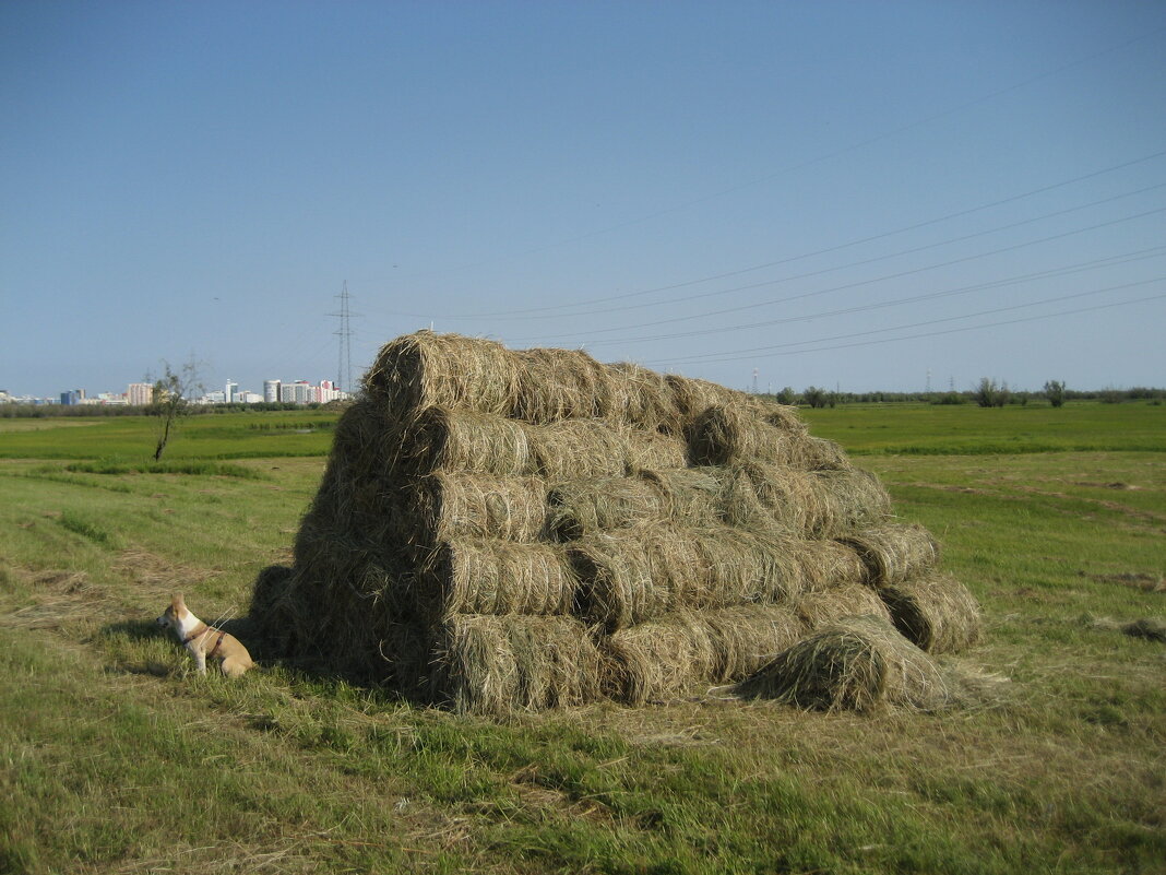 Август - Anna Ivanova Август - Anna Ivanova