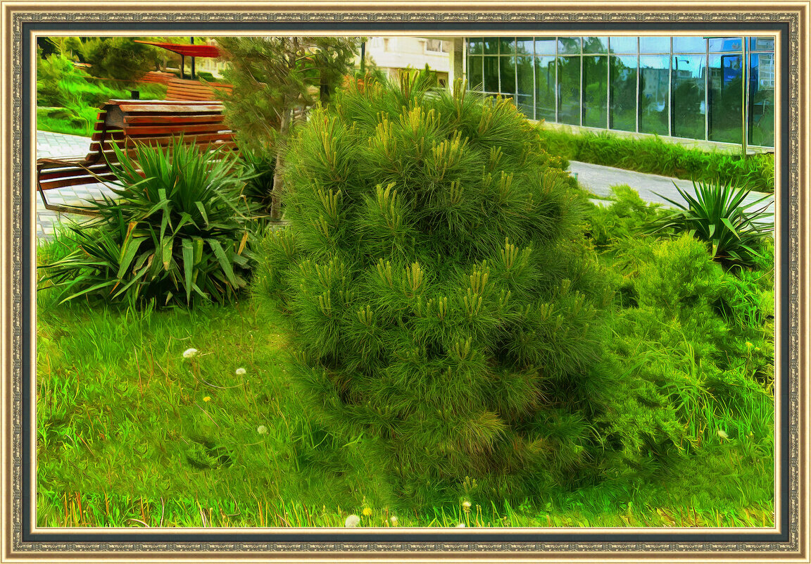 Ёлочка - Анатолий Чикчирный