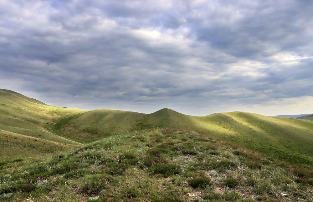 Погода хмурится - Галина Ильясова