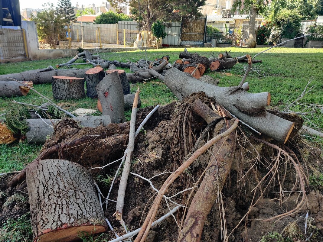 " - Светлана Хращевская