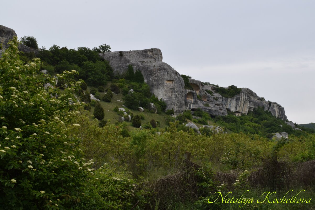 Природа Крыма - Amazing Cosmea Природа Крыма - Amazing Cosmea