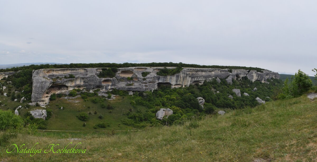 Природа Крыма - Amazing Cosmea