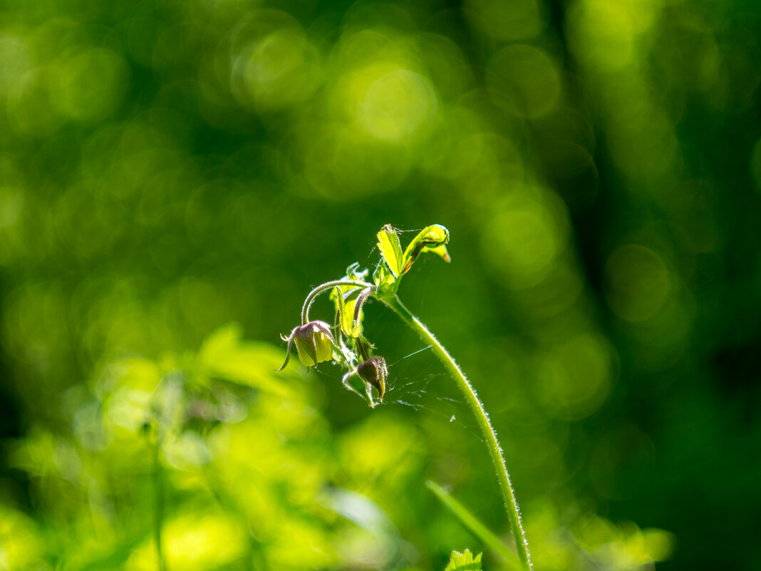 ___ - Yuriy V ___ - Yuriy V