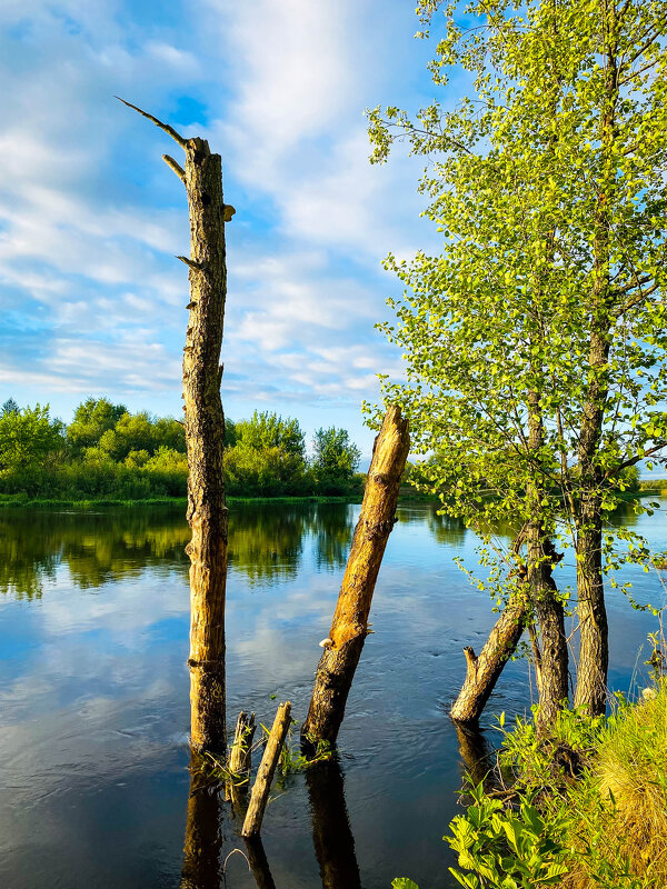 На рыбалке - Игорь Чичиль