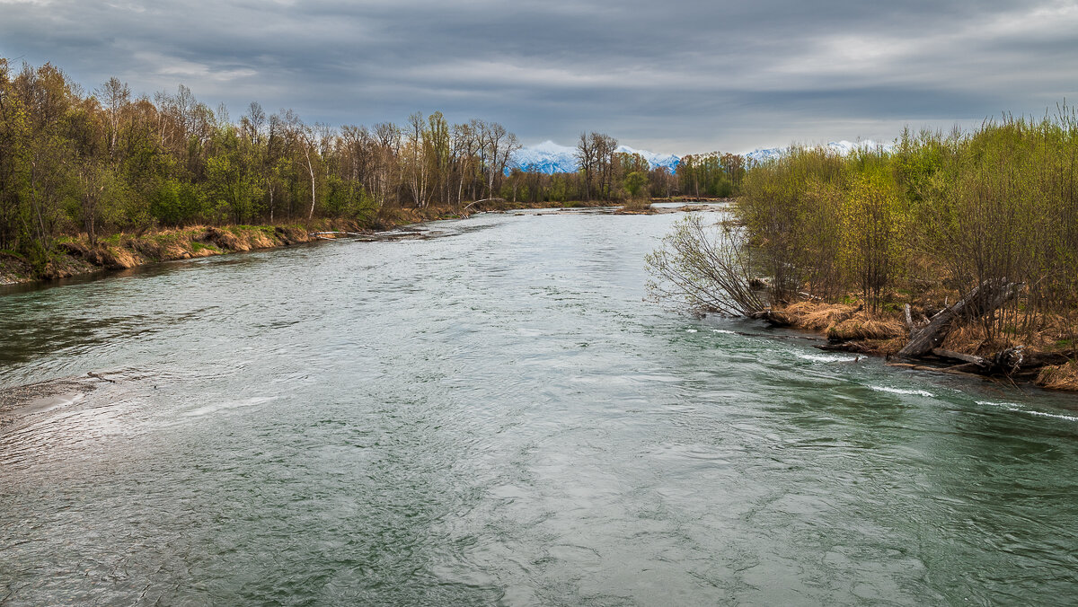 ... - Жора Житников