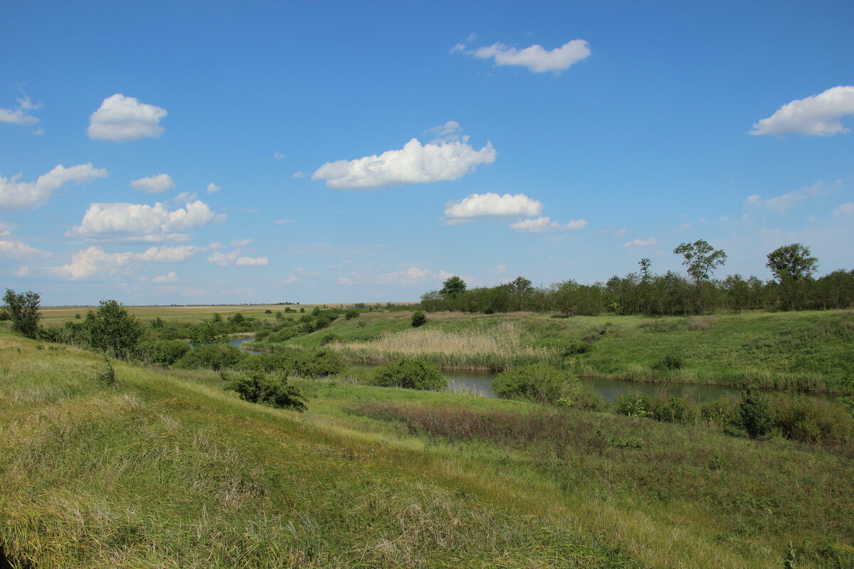 Местная река. - Виктор 