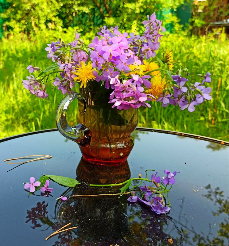 Ах, лето, лето... - veilins veilins