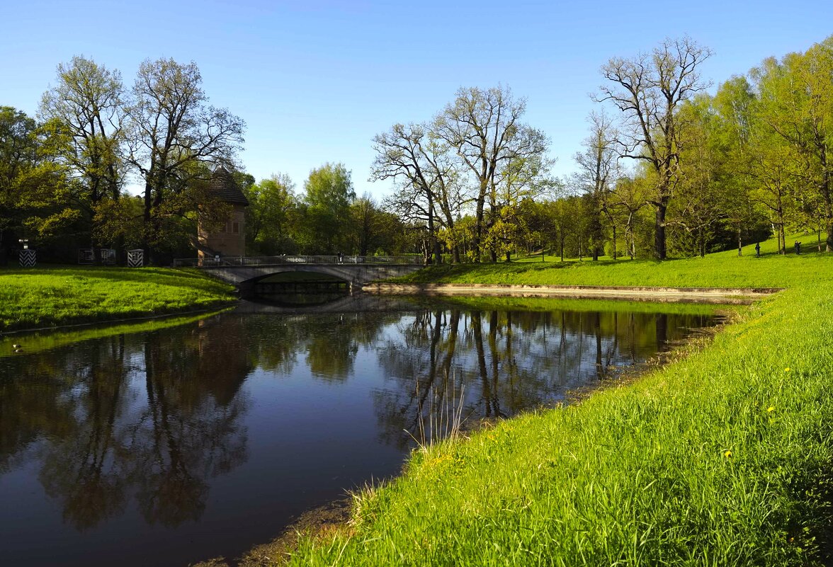 В Павловском парке - Магомед .