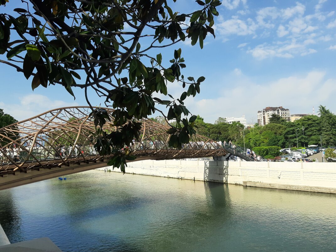 НОВЫЙ МОСТ - Tata Wolf