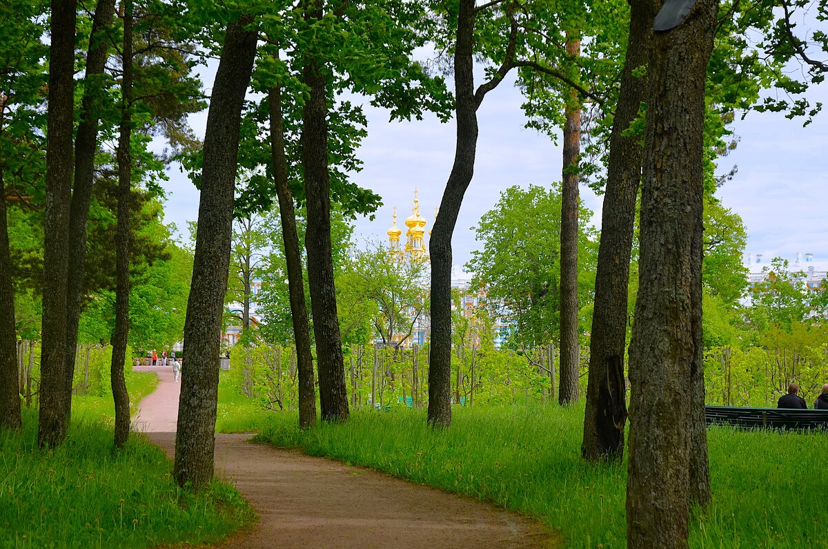 Дорога в прекрасное... - Sergey Gordoff