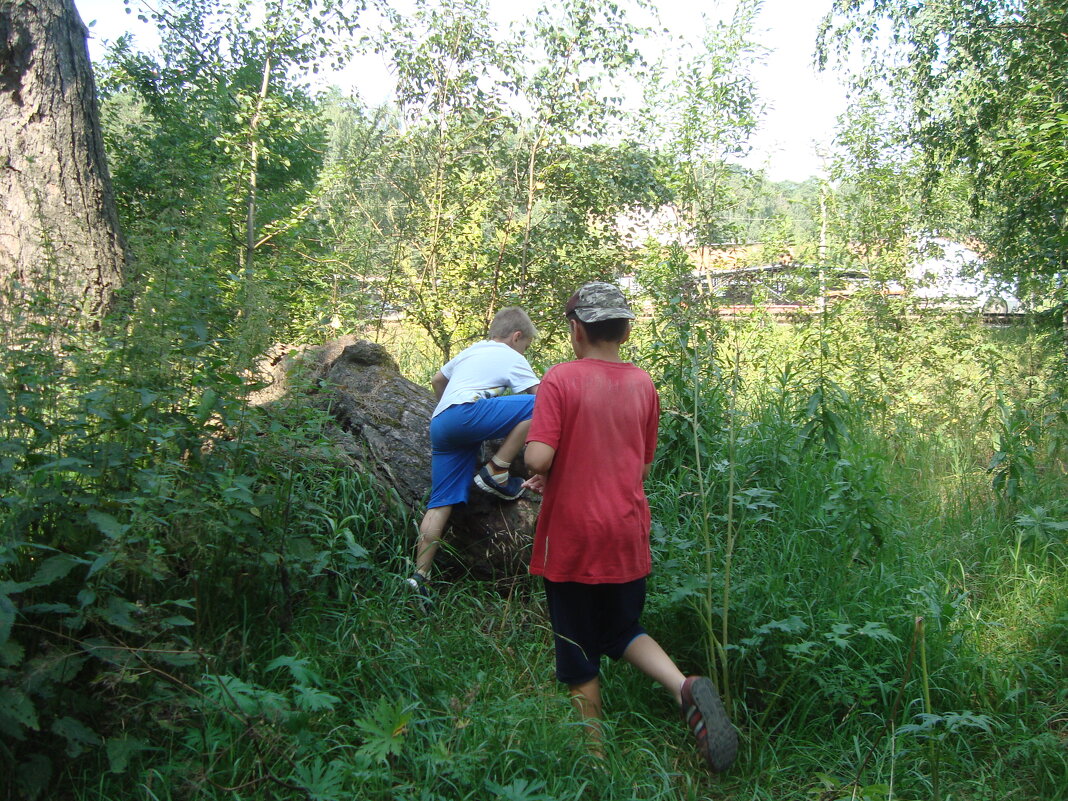 раньше не было клещей, шли везде мы напролом... - Галина Флора раньше не было клещей, шли везде мы напролом... - Галина Флора