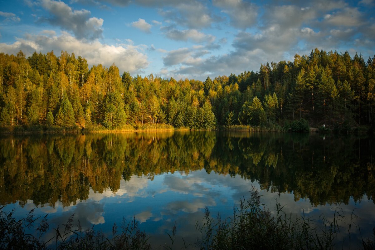 Начало осени. Где то во Владимирской области - Вячеслав Владимирович