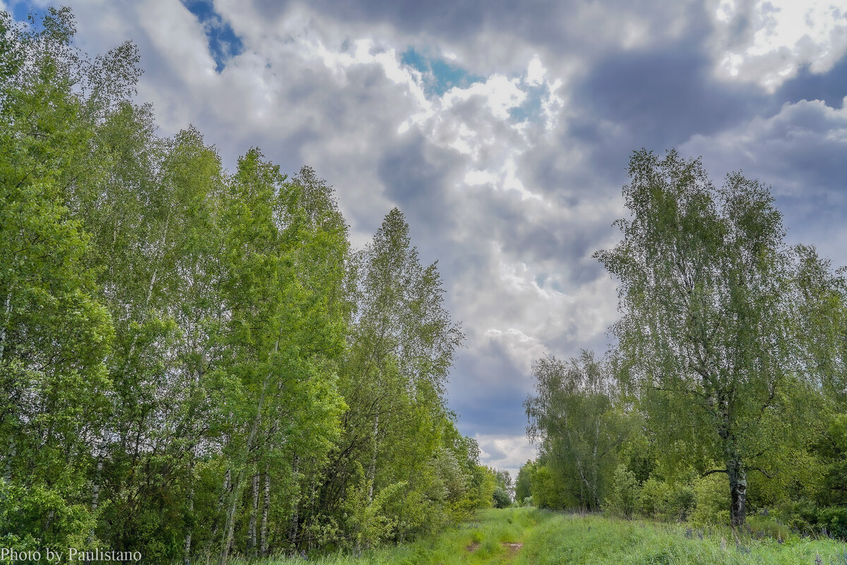 Небо июня... - Владимир Жданов Небо июня... - Владимир Жданов