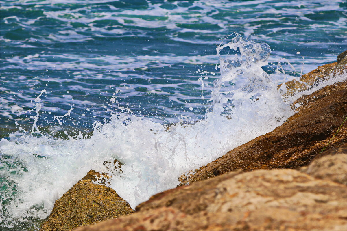 Хайфа 2025 - Владислав Воровский 