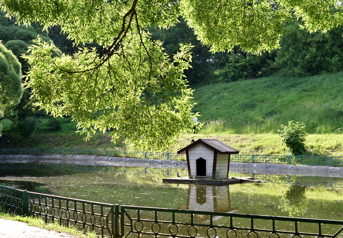 Листва, пронизанная светом. - Леонид Иванчук Листва, пронизанная светом. - Леонид Иванчук
