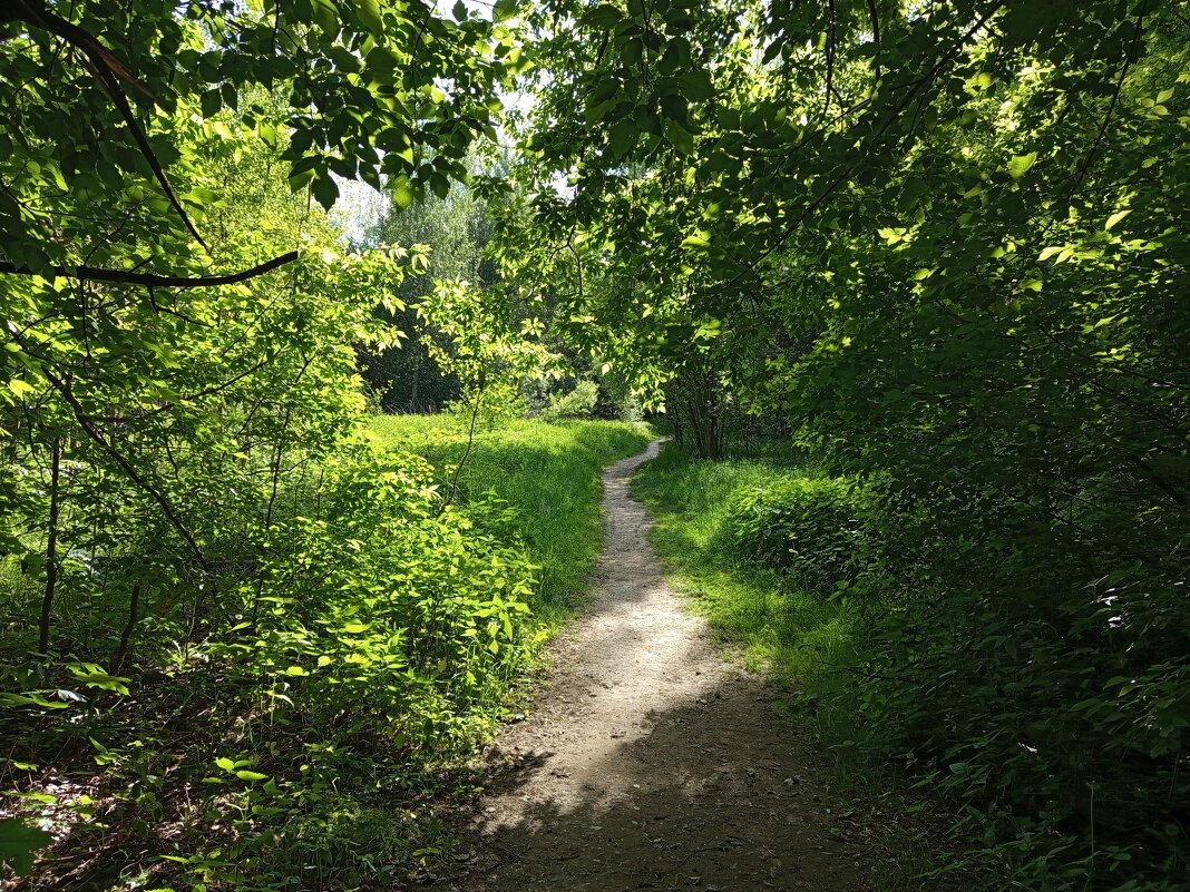 Разъиюнилось - Андрей Лукьянов