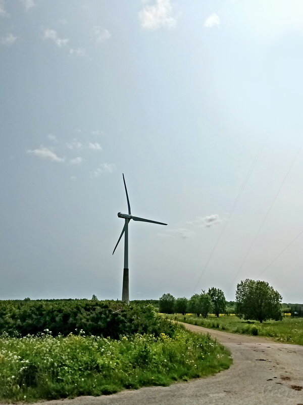 Далеко ли от Таллина ... - Veera V Далеко ли от Таллина ... - Veera V