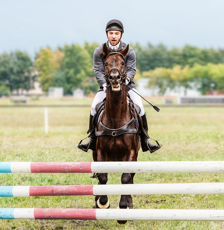 Конкур - SanSan 