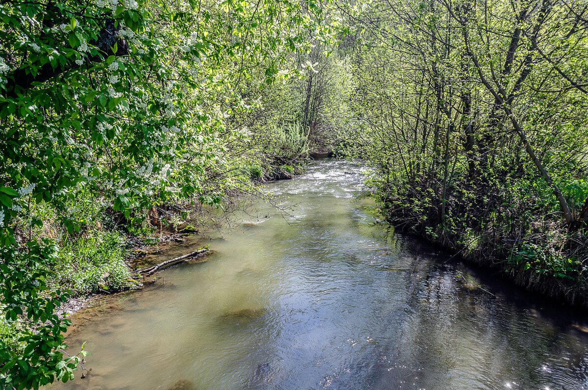 р.Кирмянка - Андрей Щетинин