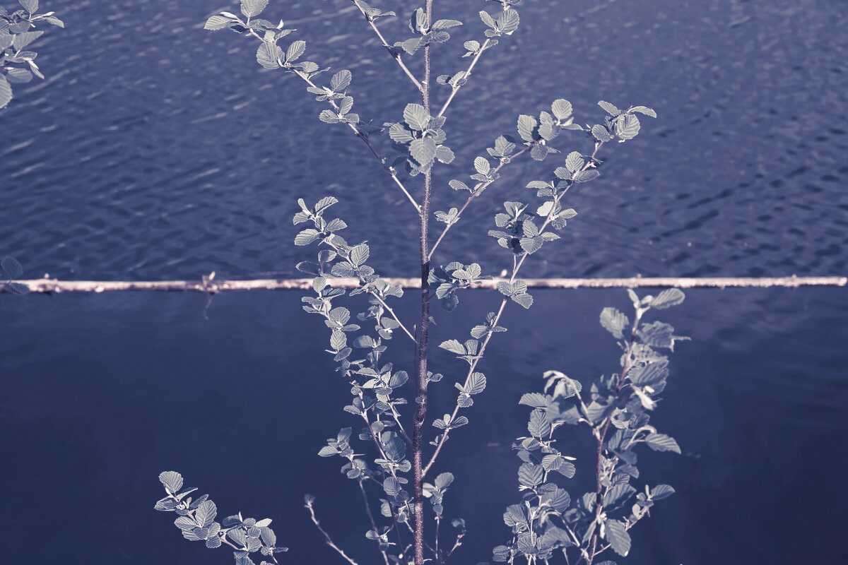 Назва. отсу. - Денис Безногов