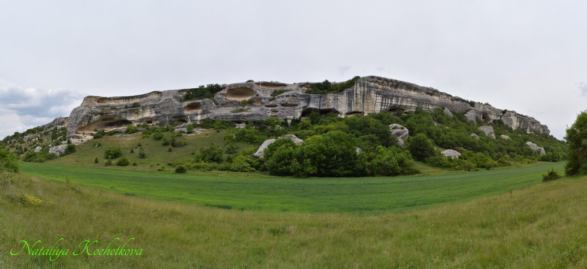 Природа Крыма - Amazing Cosmea