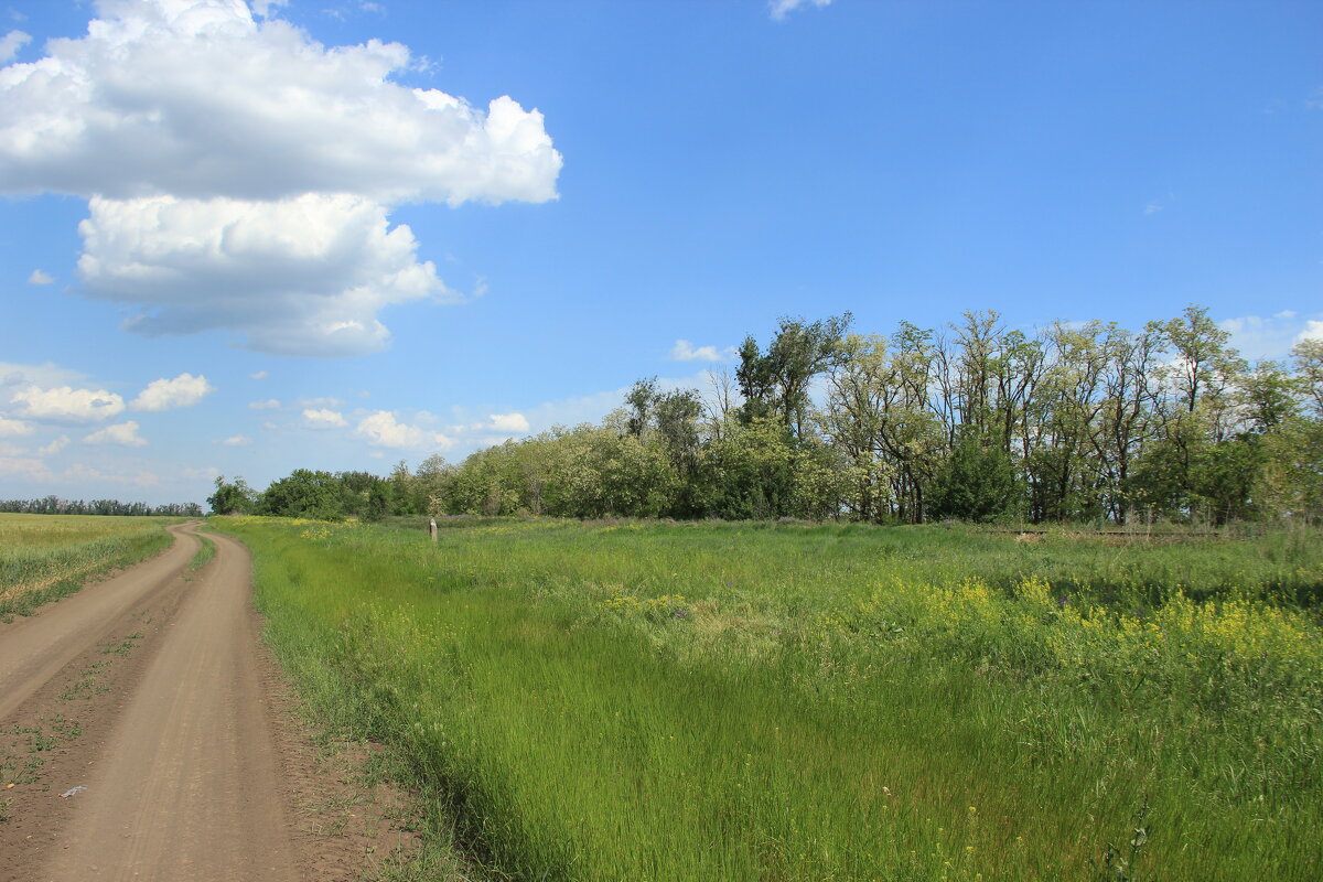 Мои дороги. - Виктор 