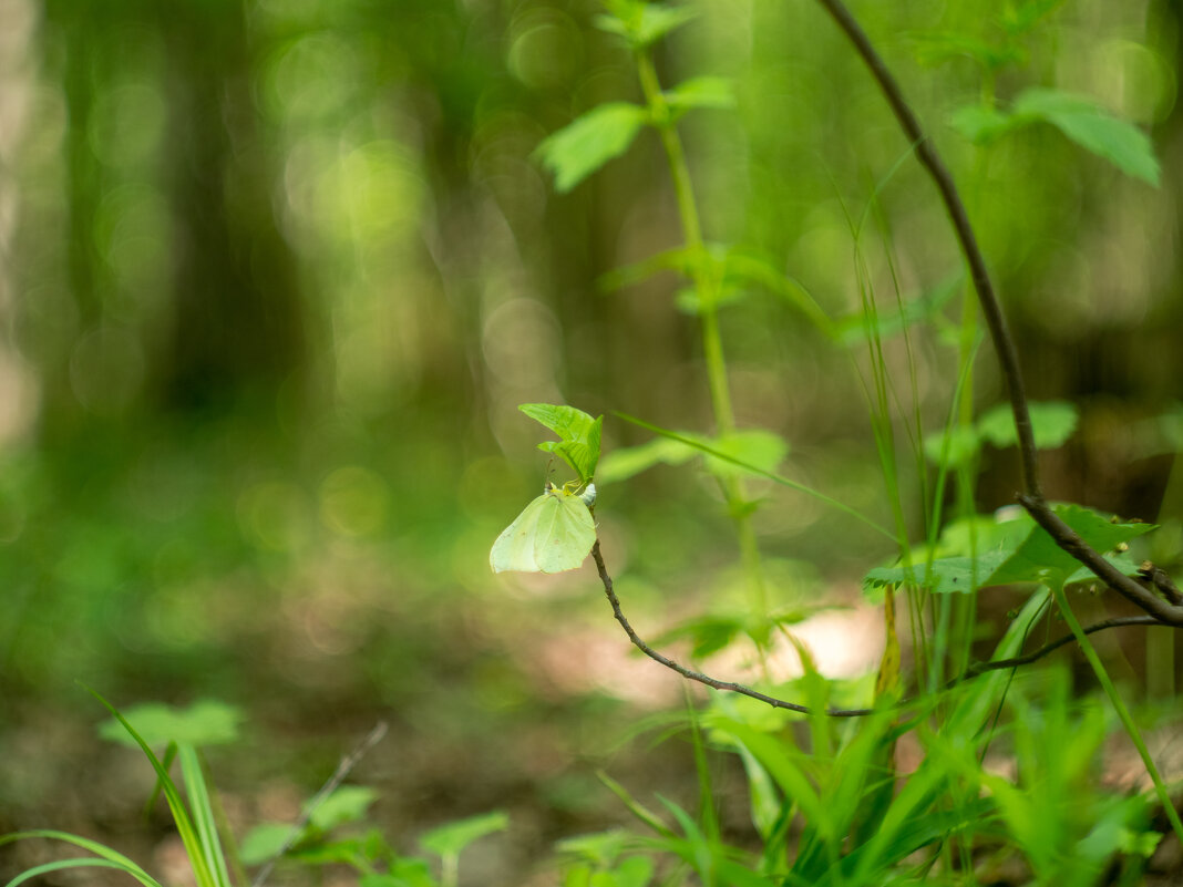 ___ - Yuriy V ___ - Yuriy V