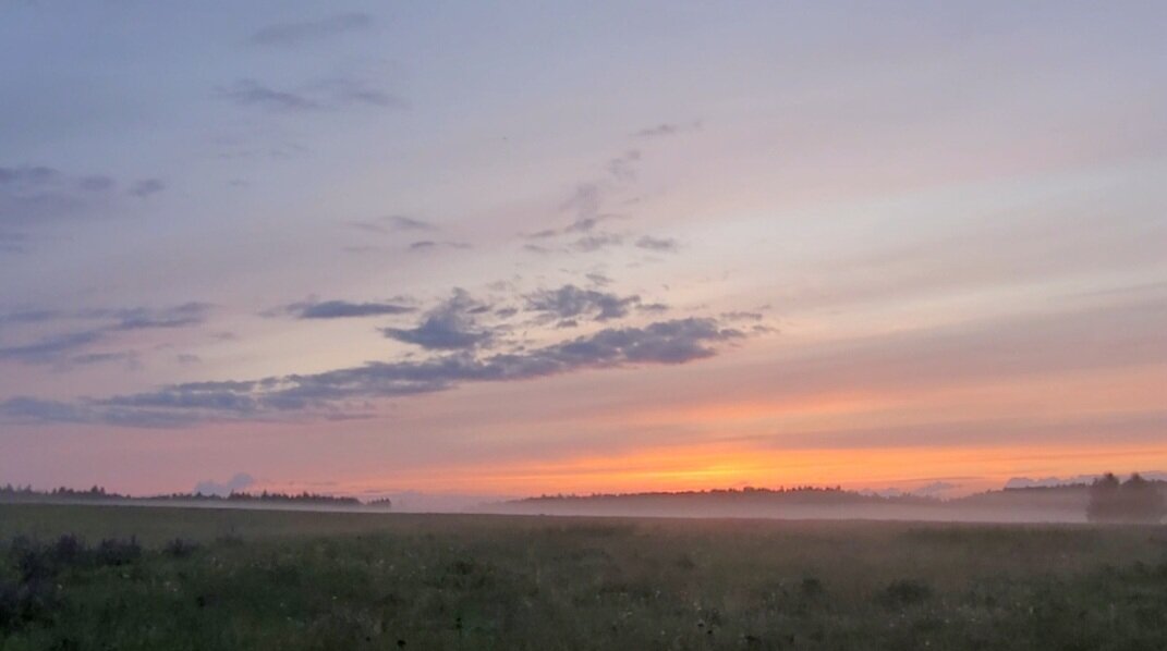 На закате - Вера (makivera)
