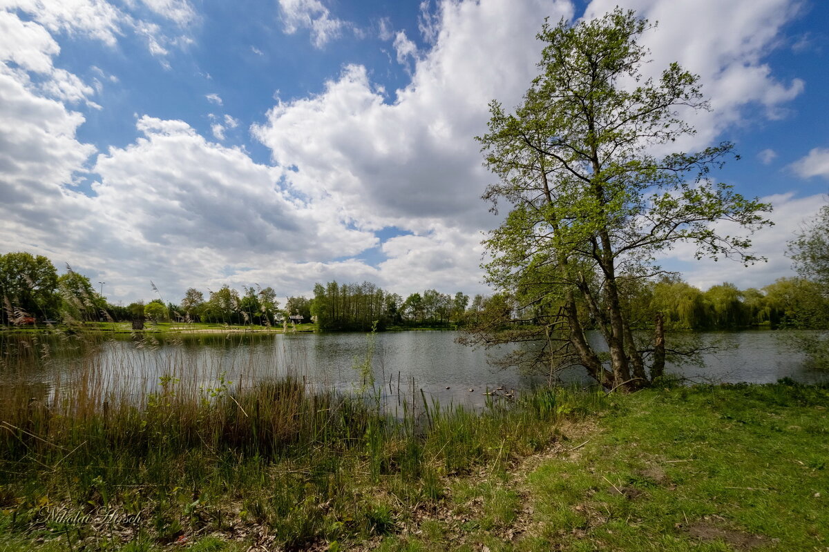 В апреле... - Николай Гирш