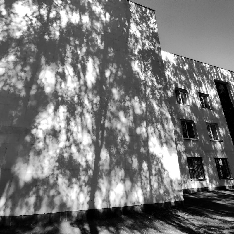 Владимир. Тени на театре. - Вячеслав Владимирович