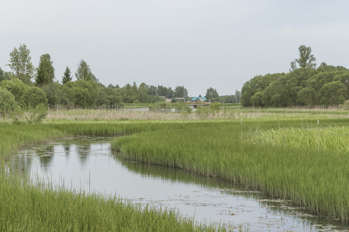 речка Сваная Смоленская область поселок Красный - Алексей Булак речка Сваная Смоленская область поселок Красный - Алексей Булак
