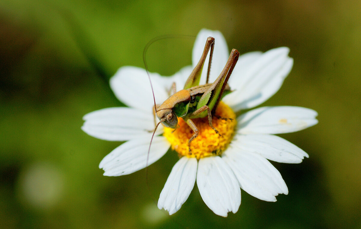 Из снятого сегодня 1 - Александр Прокудин Из снятого сегодня 1 - Александр Прокудин