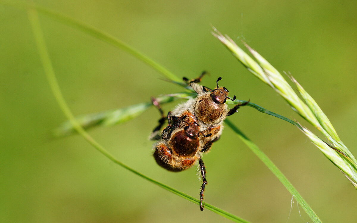 из снятого сегодня  4 - Александр Прокудин