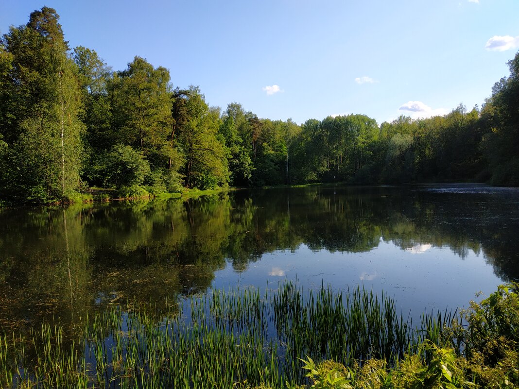 Из того, что успел недопоказать в июне - Андрей Лукьянов